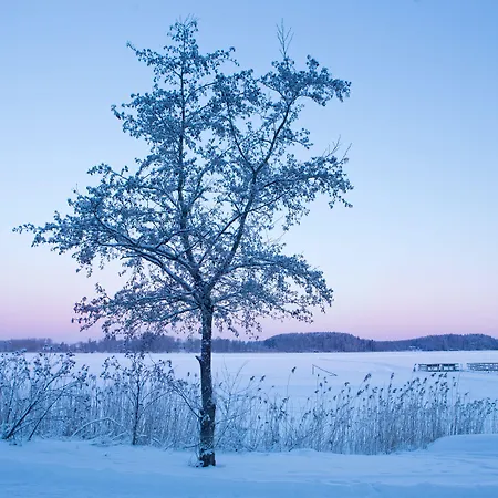 Hotelli Gustavelund 3*